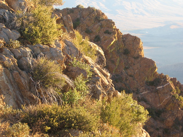 New light all around.