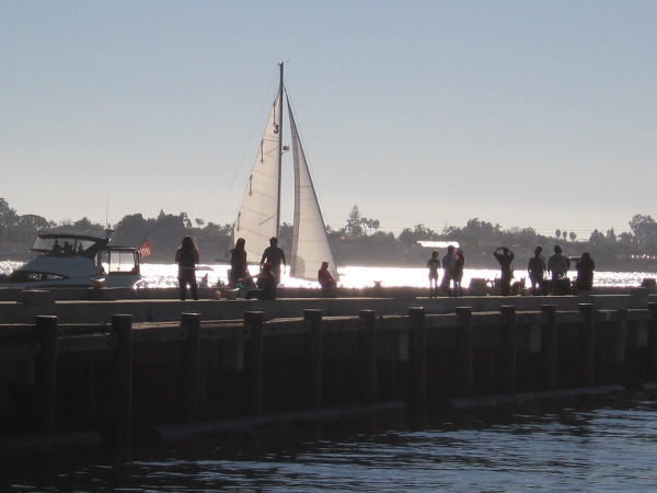 A vision beyond the reach of a pier.