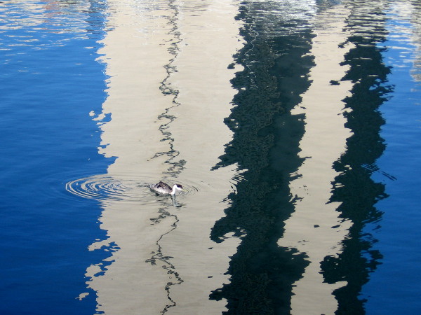 Ripples in a strange reality.