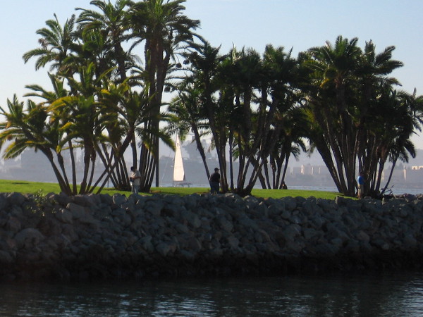 Almost like a dream within a dream.