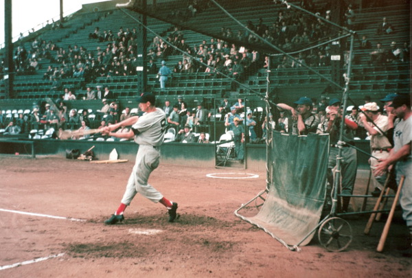 Action photo of Ted Williams used by Lisa Schirmer in one windglyph. Photographer: Heber Epperson. Courtesy of Autumn Durst Keltner.