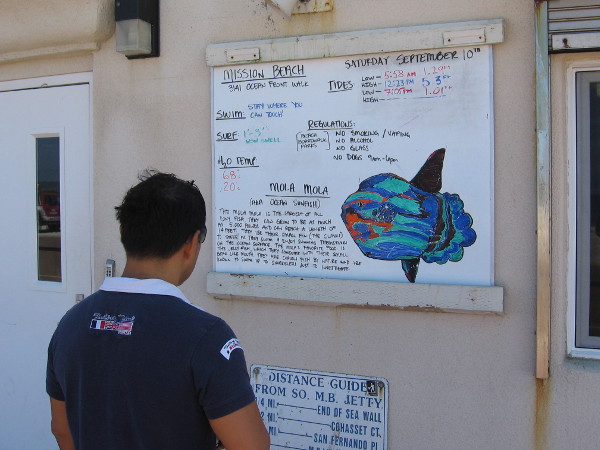 Someone reads daily information posted on Mission Beach's lifeguard station.