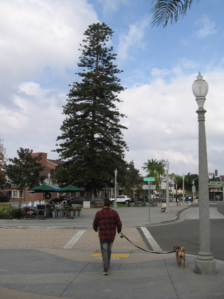 Walking along Orange Avenue toward Rotary Plaza and the high Coronado Rotary Club Christmas Tree, which is lit at night.