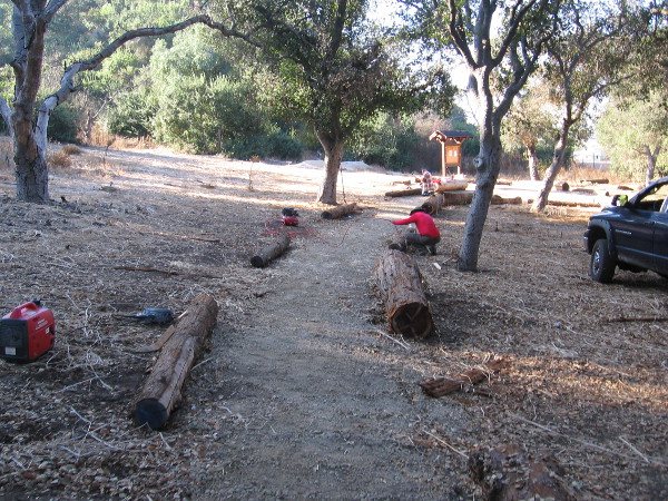 Volunteers and Boy Scouts work to improve the USS Bennington Memorial Oak Grove in Balboa Park.