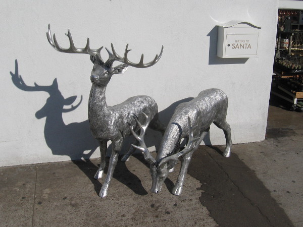 Two silvery reindeer on the sidewalk, near a mailbox that receives Letters to Santa. You'll find these in December outside Pacific Drapery.