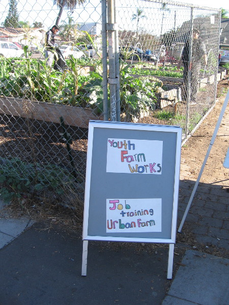 Sign by the large vegetable garden reads Youth Farm Works - Job Training Urban Farm.