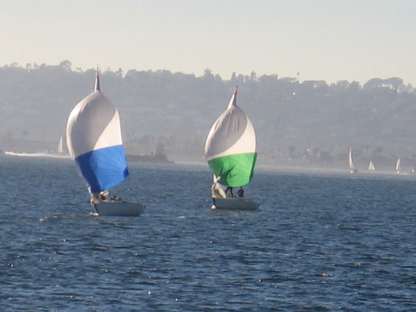 On a beautiful late January afternoon, many sailboats were gliding across San Diego Bay.