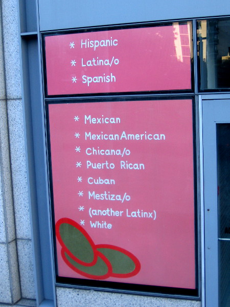 One of two panels containing some of the racial or ethnic classifications that one might choose.