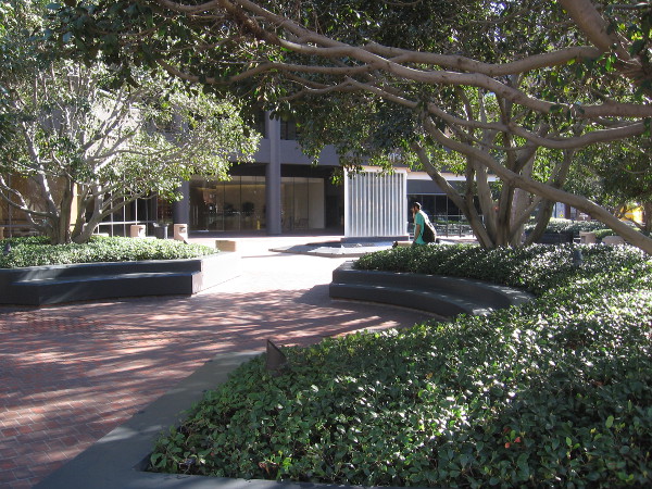 Walking along the public plaza near the corner of Broadway and Front Street in San Diego.