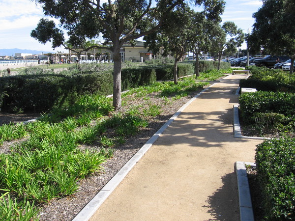 A few beautiful paths near Coronado's City Hall feature benches where one can rest and enjoy the day's sunshine.
