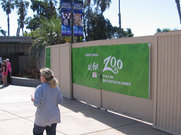 Something at the zoo will be roaring in soon...and what it might be is a complete mystery!