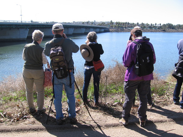 Members of the San Diego Audubon Society enjoy a perfect sunny day and identify lots of birds!