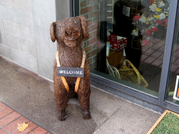 A friendly dog welcomes people walking past the front door of an East Village business.