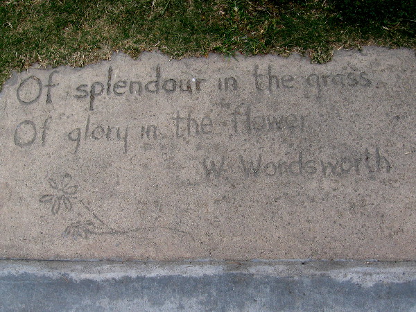 A bit of Wordsworth poetry and a flower etched into concrete. One of many cool sights during a walk down Avenida de la Playa.