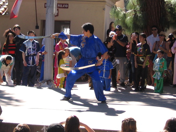 Energetic martial artists demonstrated various forms of Kung fu. Many routines seemed like precise athletic dances.