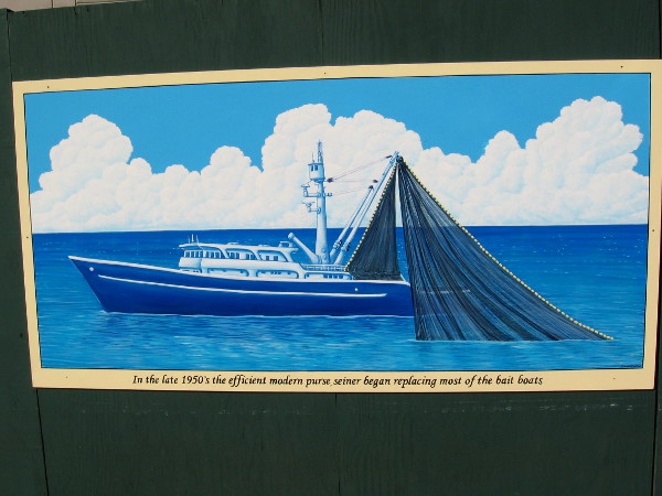 In the late 1950's the efficient modern purse seiner began replacing most of the bait boats.