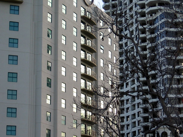 Patterns created by the shining windows of the Embassy Suites, the Park Place Condominiums and bare branches.