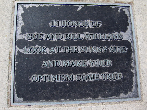 In honor of Sue and Bill Williams. Look at the sunny side and make your optimism come true.