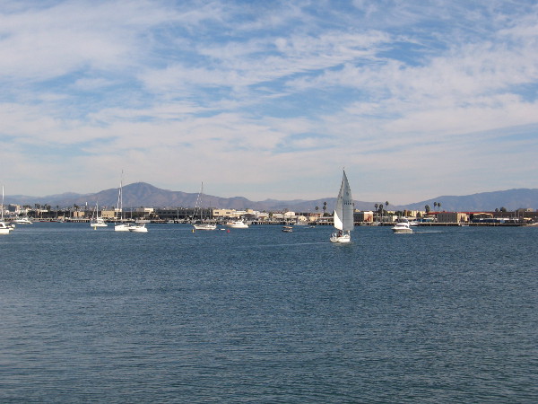 A sailboat out on the wide blue water.
