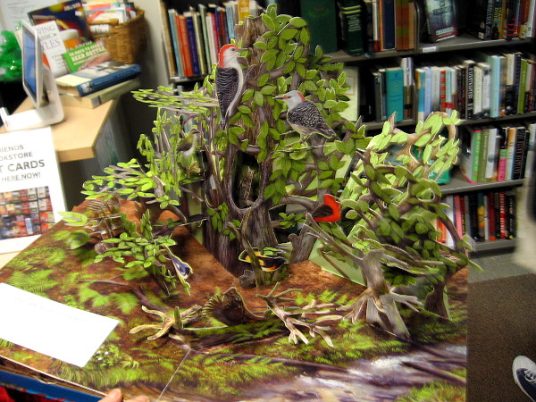 I was shown this amazing pop-up book! Every page becomes a different habitat which plays realistic sound effects from nature!