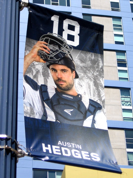 18 Austin Hedges C