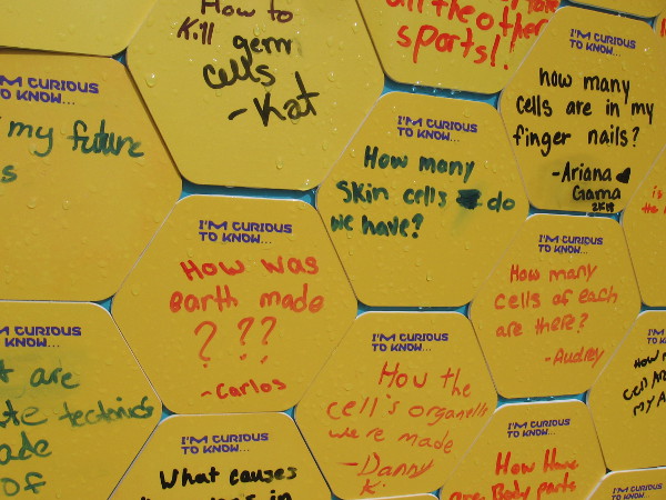 How was Earth made. How many skin cells do we have.