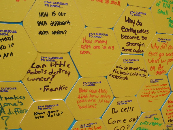 Can little robots destroy cancer. Why do earthquakes become so strong in some cases.