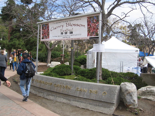 The 2018 Cherry Blossom Festival at the Japanese Friendship Garden in Balboa Park, as wonderful as ever.