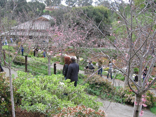 A bit like heaven, perhaps.