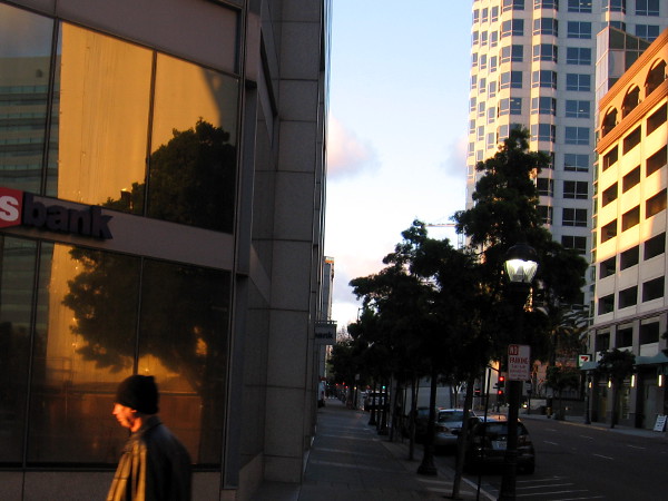 A tree's reflection in windows.