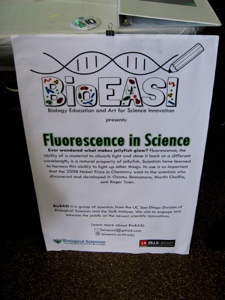 Why does a jellyfish glow.