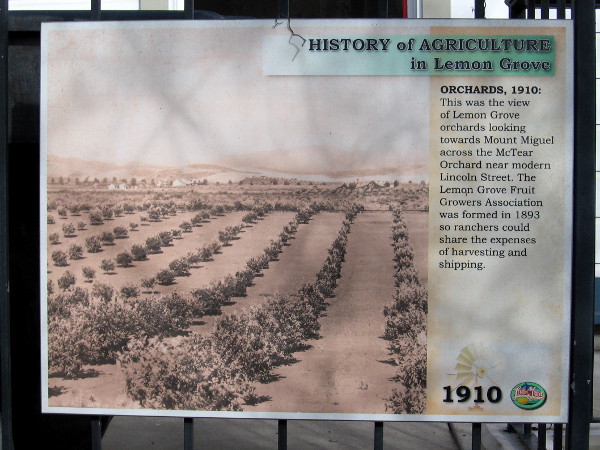 Another sign contains a view of Lemon Grove orchards looking towards Mount Miguel across the McTear Orchard in 1910.