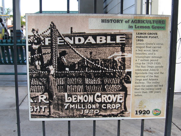 Old photo shows the Lemon Grove float during the San Diego parade in 1920. The parade celebrated the opening of John D. Spreckels' railway, which ran where the trolley runs today.