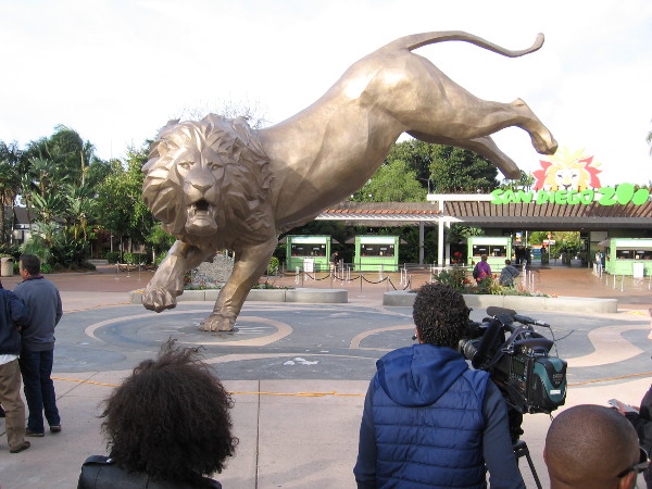 Reporters and lovers of the zoo have gathered for a special dedication ceremony on Sunday morning.