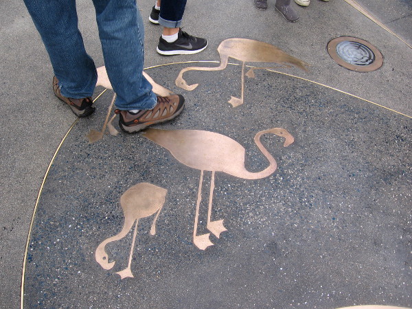 I've spotted some flamingos nearby!