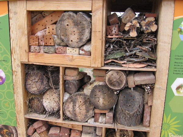 Anyone can create a cool beehouse for their garden. All you really need is a drill!
