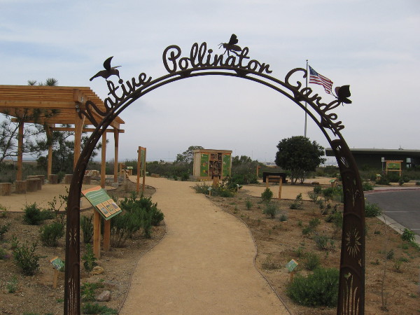The Native Pollinator Garden at the Living Coast Discovery Center includes some very cool beehouses!