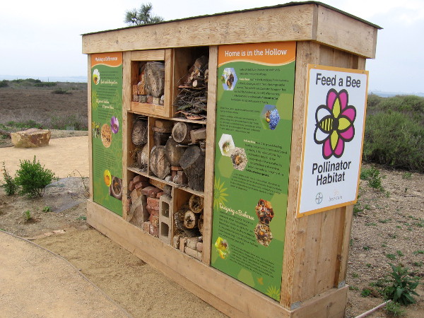 A large Feed a Bee Pollinator Habitat in the native garden provides shelter for solitary bees and information for the curious.