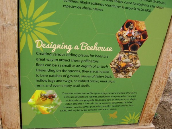 Creating various hiding places attracts solitary bees, which can be as small as an eighth of an inch.