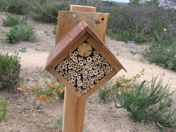 Feeling inspired? Handy with a hammer and nails? Make your beehouse into a cool work of art!