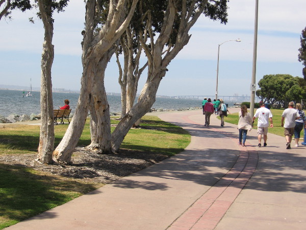 Walking slowly through sunshine, on the way to a cool festival in San Diego's South Bay.