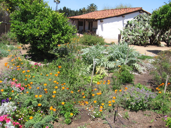 Many flowers fill a garden that few visitors see behind La Casa de Machado y Stewart.