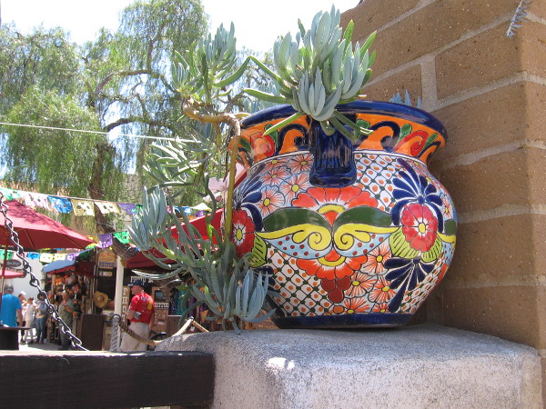 There seem to be flowers everywhere you turn in Old Town San Diego!