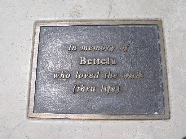 Plaque on a park bench. In memory of Bettelu who love the walk (thru life).