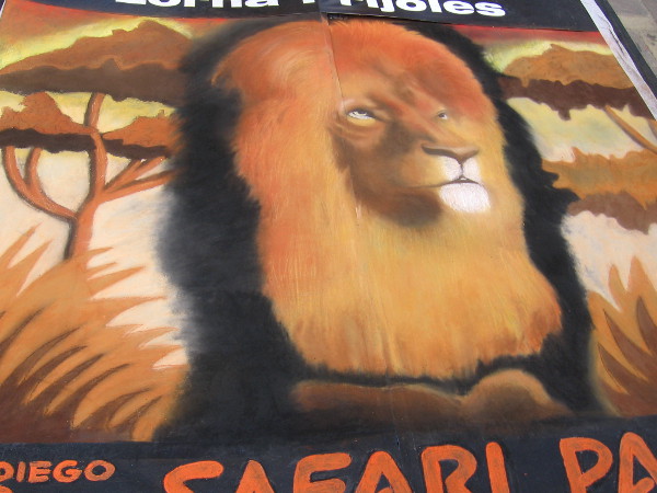 A chalk art lion representing the San Diego Zoo Safari Park, created by Lorna Prijoles.