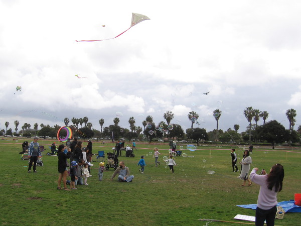 Dozens of kites take to the sky at the 70th Annual Kite Festival in Ocean Beach!