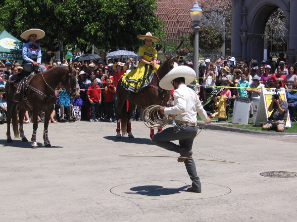 Great agility and showmanship on display.