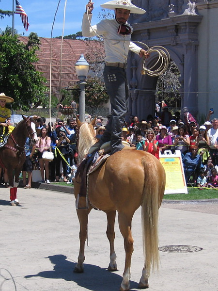 Performing more amazing rope tricks up on the back of his horse!