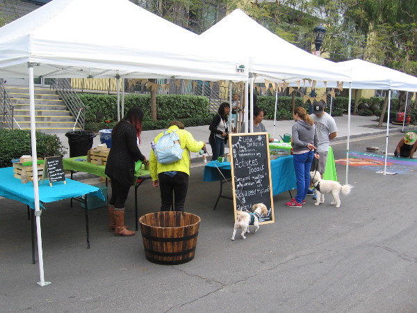 Little Dandelions had some activities at the Flower Fest. They are a non-profit organization based in Imperial Beach. Their mission is to inspire and teach the importance of agriculture to all ages.