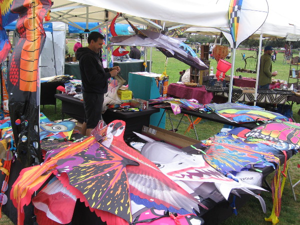 Among a variety of festival participants were some clever vendors who conveniently sold kites!